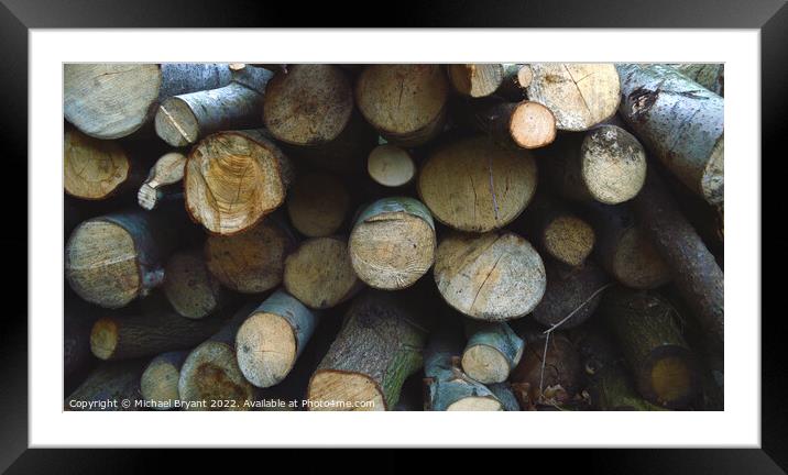 Wooden logs Framed Mounted Print by Michael bryant Tiptopimage
