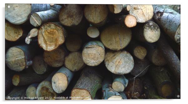 Wooden logs Acrylic by Michael bryant Tiptopimage
