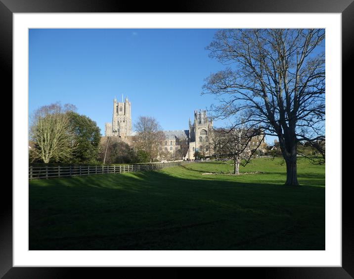 Majestic Ely Cathedral Framed Mounted Print by Simon Hill