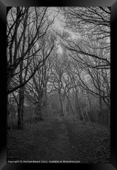 Highwood country park Framed Print by Michael bryant Tiptopimage