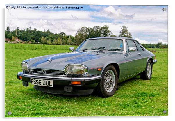 Jaguar XJS 3.6-Litre Acrylic by Andrew Harker