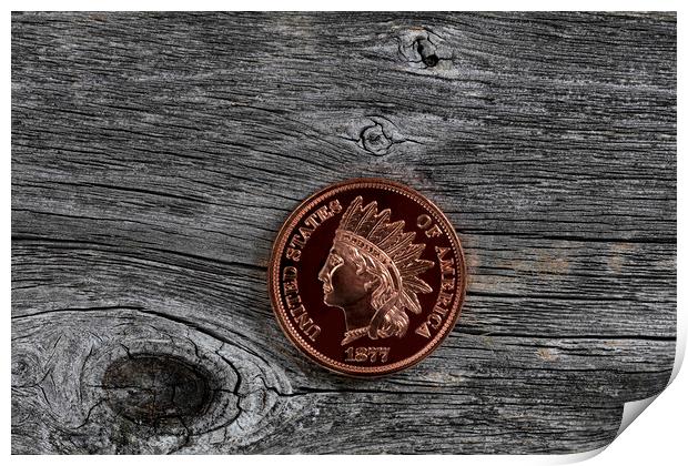 Single US Indian head one cent coin on rustic wood for numismati Print by Thomas Baker