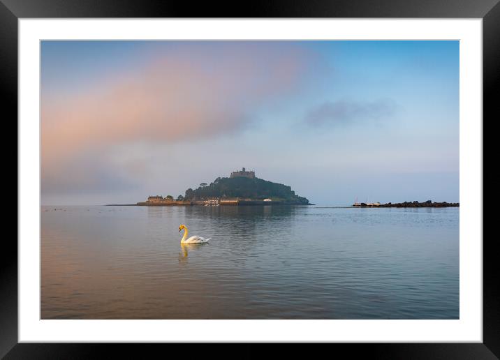 Swan at Saint Michael's Framed Mounted Print by Michael Brookes