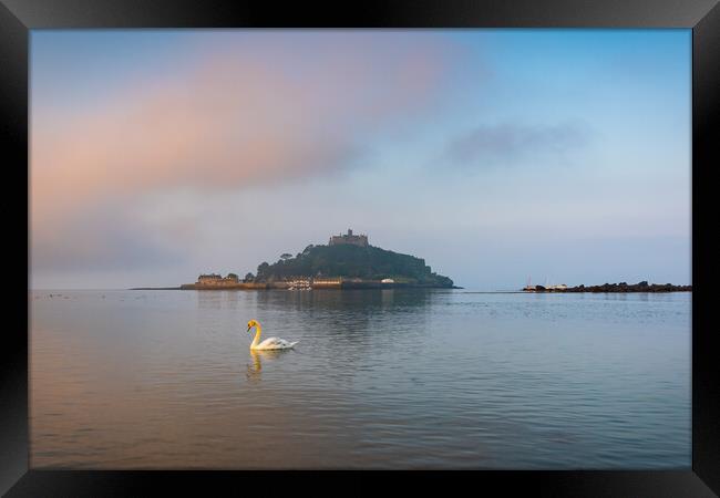 Swan at Saint Michael's Framed Print by Michael Brookes