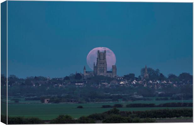 Full moon rising behind Ely Cathedral, 16th April  Canvas Print by Andrew Sharpe