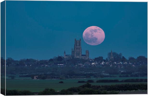 Full moon rising behind Ely Cathedral, 16th April 2022 Canvas Print by Andrew Sharpe