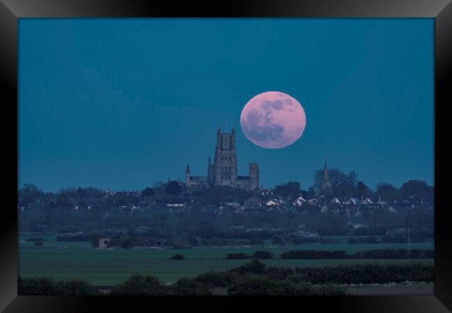 Full moon rising behind Ely Cathedral, 16th April 2022 Framed Print by Andrew Sharpe