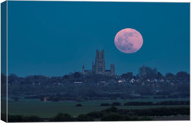 Full moon rising behind Ely Cathedral, 16th April 2022 Canvas Print by Andrew Sharpe