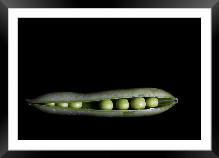 Peas In A Pod Framed Mounted Print by Lynne Morris (Lswpp)