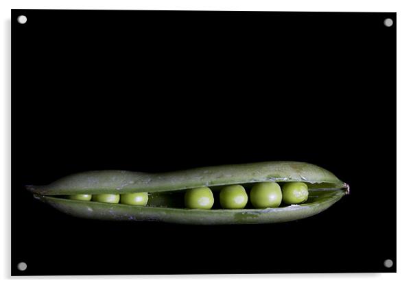 Peas In A Pod Acrylic by Lynne Morris (Lswpp)