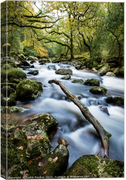 The river Plym at Shaugh Prior, Dartmoor Canvas Print by Justin Foulkes