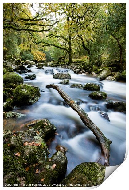 The river Plym at Shaugh Prior, Dartmoor Print by Justin Foulkes