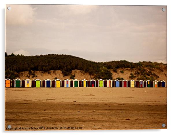Beach Huts Acrylic by Alexia Miles