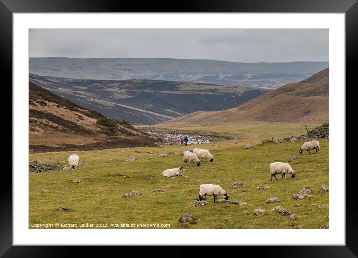 Heading for Cauldron Snout on the Pennine Way, Teesdale Framed Mounted Print by Richard Laidler