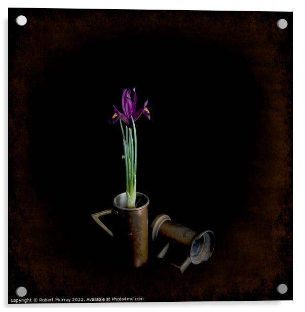 Iris reticulata "George". Acrylic by Robert Murray