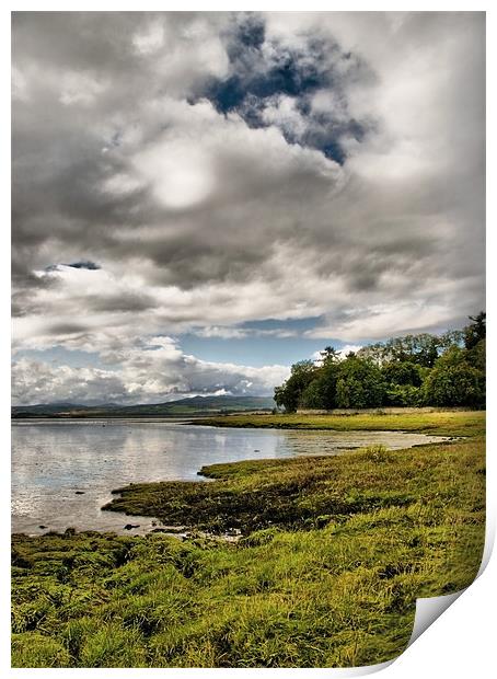 Along The Beauly Firth Print by Jacqi Elmslie