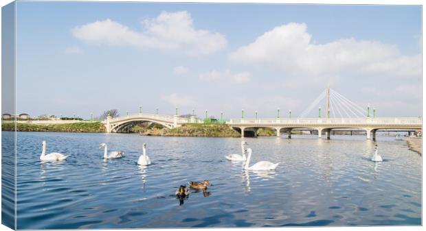 Southport Marina in spring Canvas Print by Jason Wells