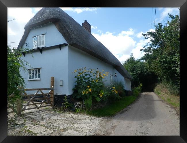 The Cottage Framed Print by Simon Hill