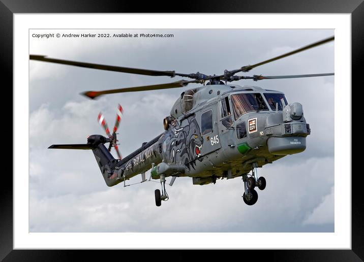 Westland Lynx HMA.8DSP Framed Mounted Print by Andrew Harker