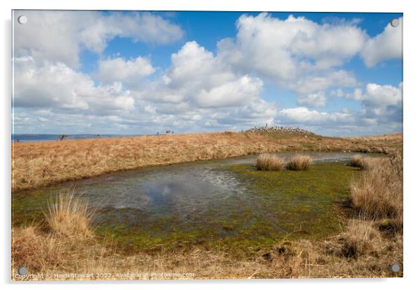 Great Cairn and Pond Cefn Bryn Gower Acrylic by Heidi Stewart