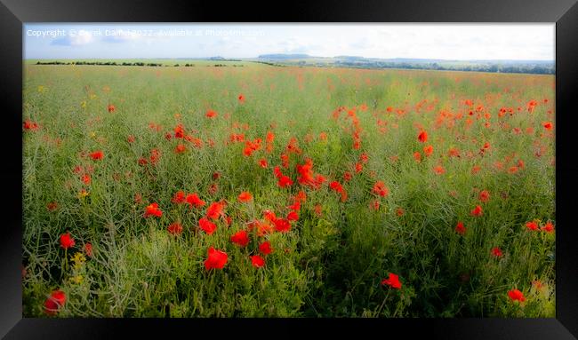 Impressionistic Field of Poppies  (panoramic) Framed Print by Derek Daniel