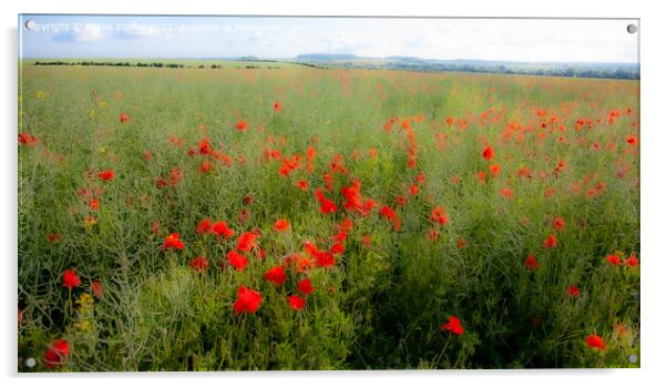 Impressionistic Field of Poppies  (panoramic) Acrylic by Derek Daniel