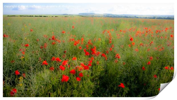Impressionistic Field of Poppies  (panoramic) Print by Derek Daniel