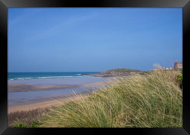 Dune grass at Fistral Beach Framed Print by Tony Twyman