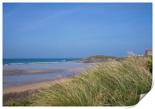 Dune grass at Fistral Beach Print by Tony Twyman