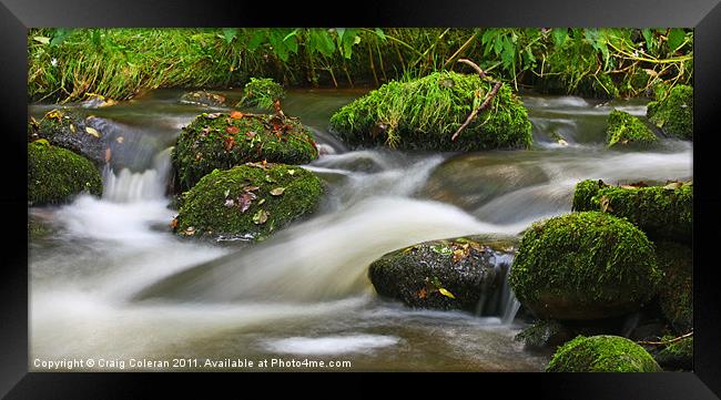 flowing mossy stream Framed Print by Craig Coleran