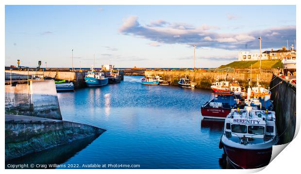 Seahouses Harbour Print by Craig Williams