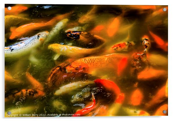 Orange Colorful Carp Koi Goldfish Yuyuan Shanghai China Acrylic by William Perry