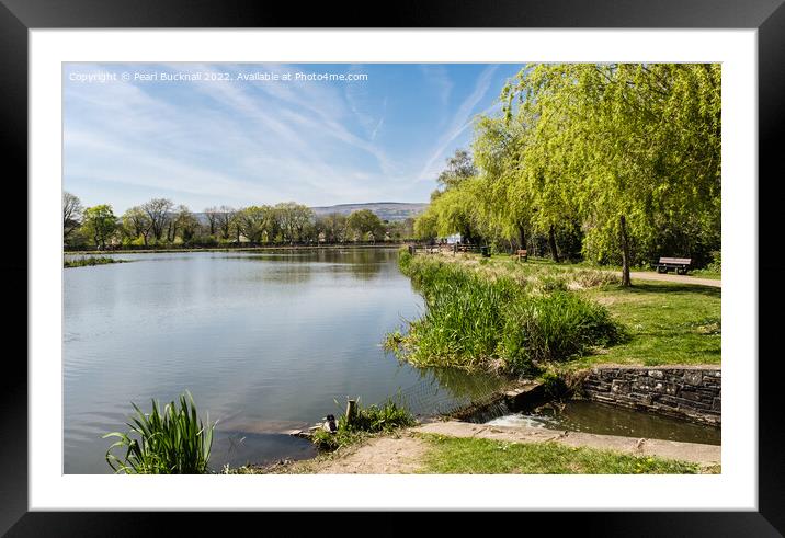 Cwmbran Boating Lake Wales Framed Mounted Print by Pearl Bucknall