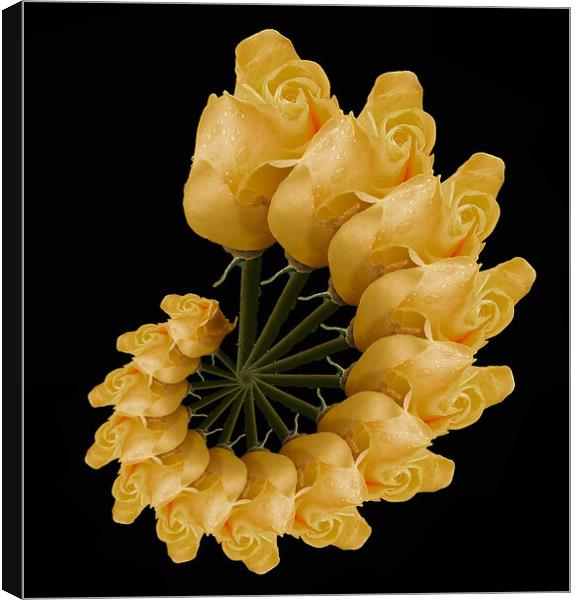 abstract yellow rose Canvas Print by Alan Tunnicliffe