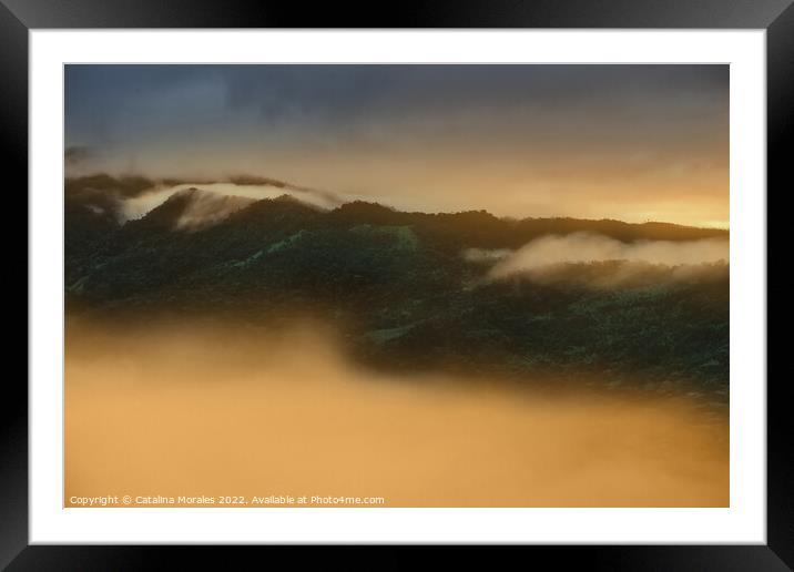 Sunrise in the Andean rainforest of Colombia Framed Mounted Print by Catalina Morales