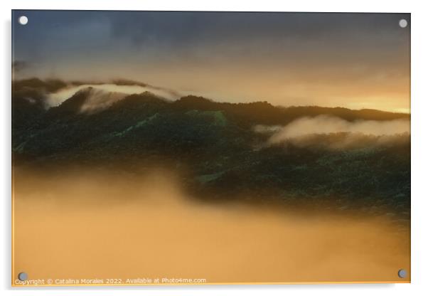 Sunrise in the Andean rainforest of Colombia Acrylic by Catalina Morales