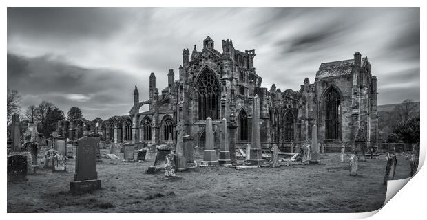 Melrose Abbey Black and White  Print by Anthony McGeever