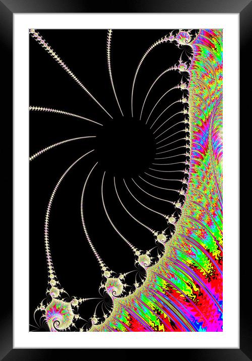 Spider Spectrum Framed Mounted Print by Vickie Fiveash