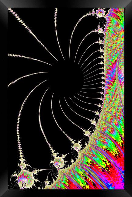 Spider Spectrum Framed Print by Vickie Fiveash