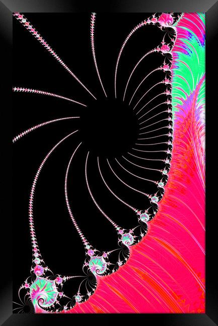 Pink Web Framed Print by Vickie Fiveash