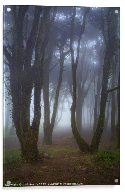 Fog in the forest Acrylic by Paulo Rocha