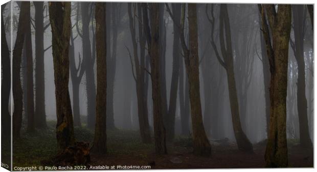 Misty dark forest Canvas Print by Paulo Rocha