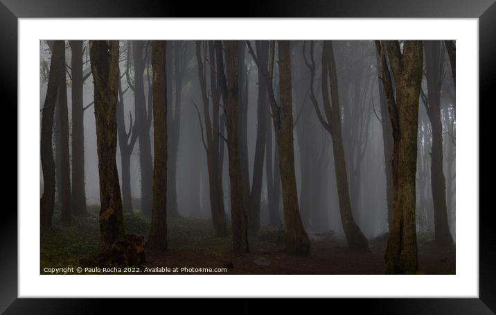 Misty dark forest Framed Mounted Print by Paulo Rocha
