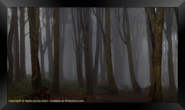 Misty dark forest Framed Print by Paulo Rocha
