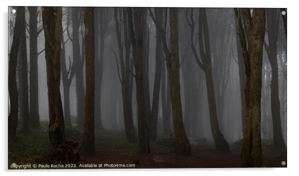 Misty dark forest Acrylic by Paulo Rocha