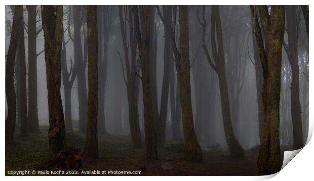 Misty dark forest Print by Paulo Rocha