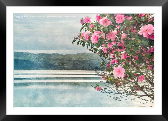 flowers, sea and mountains Framed Mounted Print by Dawn Cox