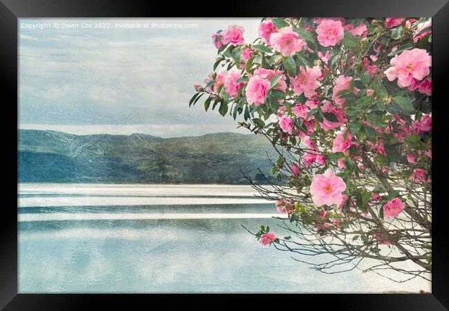 flowers, sea and mountains Framed Print by Dawn Cox