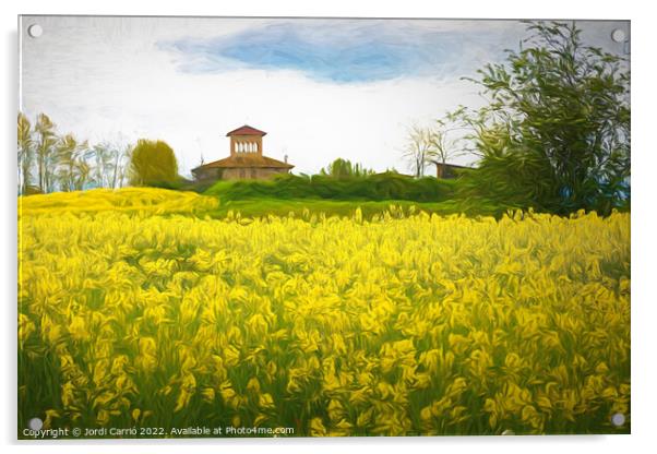 Golden Fields of Catalonia - CR2105-5263-PIN-R Acrylic by Jordi Carrio