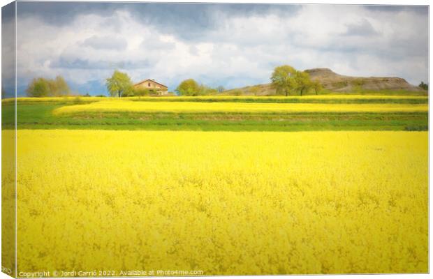 Yellow Fields of Malla - CR2105-5277-PIN Canvas Print by Jordi Carrio